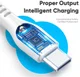 Dux Ducis 60W USB-C naar USB-C Fast Charge Oplaad Kabel 1 Meter Wit afbeelding 7