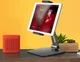 4smarts ErgoFix Universele Bureauhouder voor Smartphone/Tablet Zilver afbeelding 4