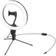 Baseus LED Ring Licht Tripod Statief en Houder voor Smartphone afbeelding 11