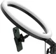 Baseus LED Ring Licht Tripod Statief en Houder voor Smartphone afbeelding 14