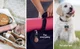 Spigen Ciel by Cyrill Shine Hoes Apple AirTag Sleutelhanger Roze afbeelding 6