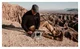 Urban Armor Gear Plasma Microsoft Surface Pro 8 Hoes met Schouderband afbeelding 14