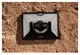 Urban Armor Gear Plasma Microsoft Surface Pro 8 Hoes met Schouderband afbeelding 16