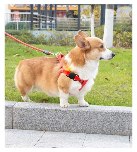 Apple AirTag Hoesje Siliconen voor Huisdieren Halsband Hond/Kat Roze afbeelding 6