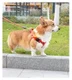 Apple AirTag Hoesje Siliconen voor Huisdieren Halsband Hond/Kat Roze afbeelding 6