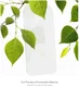ZAGG InvisibleShield Curve XTR2 Eco Samsung S23 Ultra Screen Protector afbeelding 5