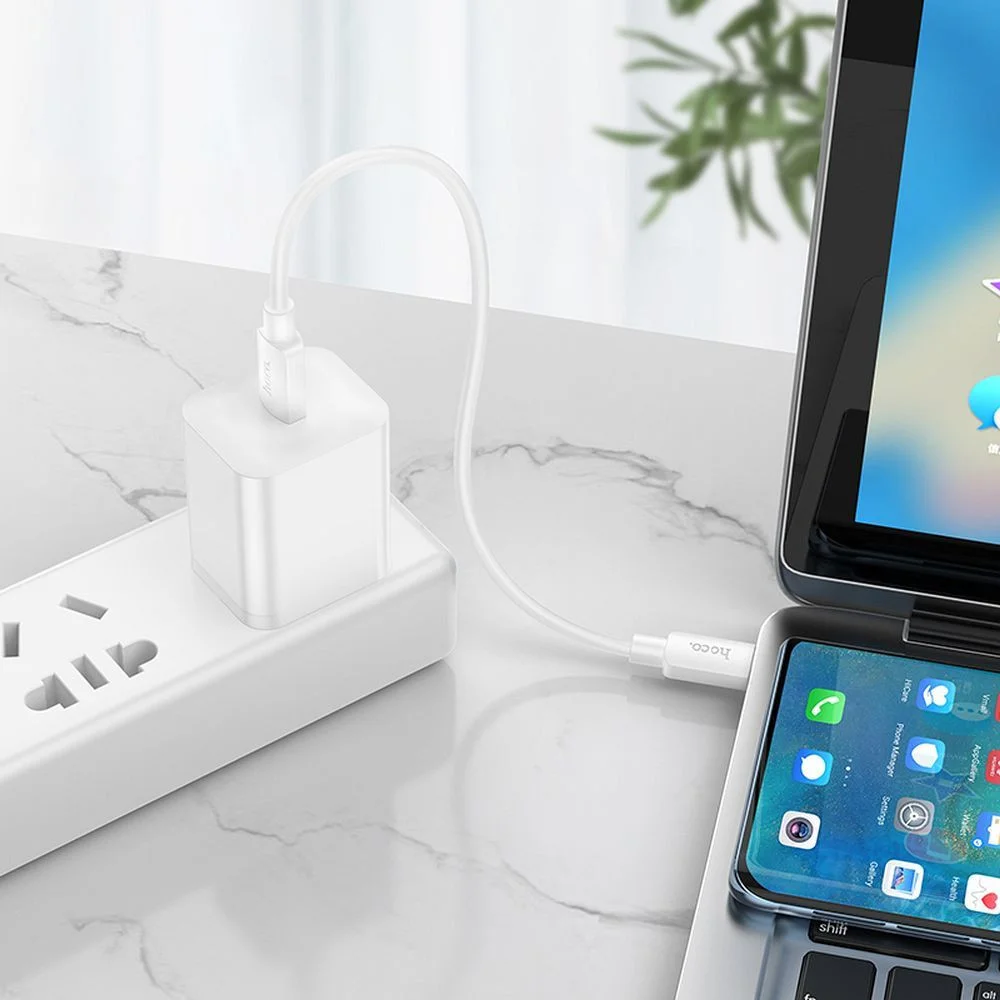 Hoco X96 60W Fast Charge PD USB-C naar USB-C Laadkabel 0.25M Wit afbeelding 4