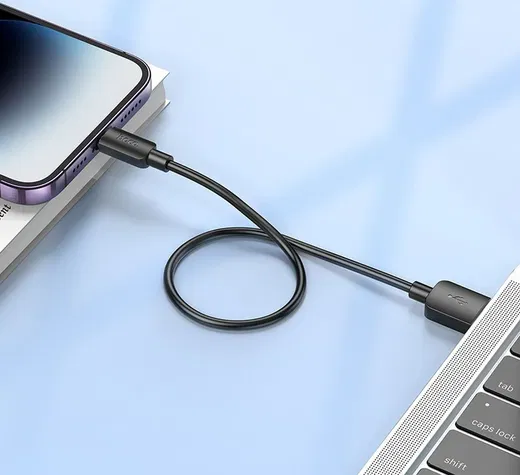 Hoco X96 12W Fast Charge PD USB naar Lightning Laadkabel 0.25M Zwart afbeelding 3