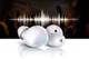 Samsung Galaxy Buds Wit afbeelding 12