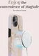 MIO MagSafe Apple iPhone 16 Hoesje Hard Shell Back Cover Gold Marble afbeelding 4