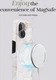 MIO MagSafe Apple iPhone 16 Hoesje Hard Shell Back Cover White Roses afbeelding 4