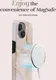 MIO MagSafe Apple iPhone 16 Plus Hoesje Hard Shell Back Cover Gold Marble afbeelding 4