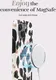 MIO MagSafe iPhone 16 Pro Max Hoesje Hard Shell Back Cover Leopard afbeelding 4