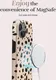 MIO MagSafe iPhone 16 Pro Max Hoesje Hard Shell Back Cover Spots afbeelding 4