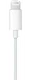 Originele Apple EarPods Oortjes MWTY3ZM/A (Lightning Aansluiting) afbeelding 3