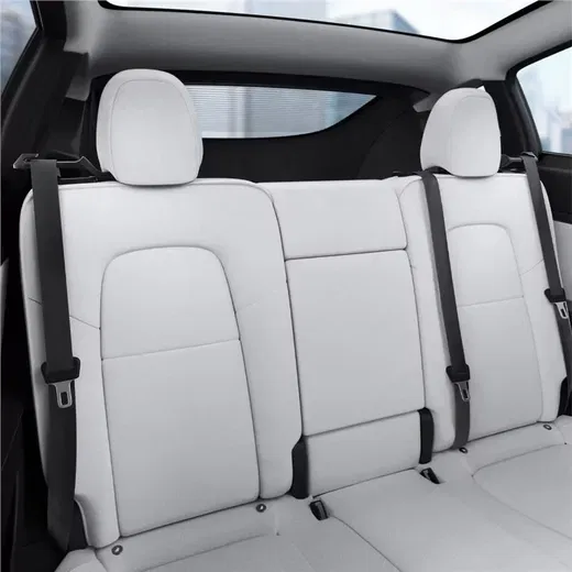 Spigen Tesla Model Y Auto Achterbank Gordel Houder Hoofdsteun Zwart afbeelding 10