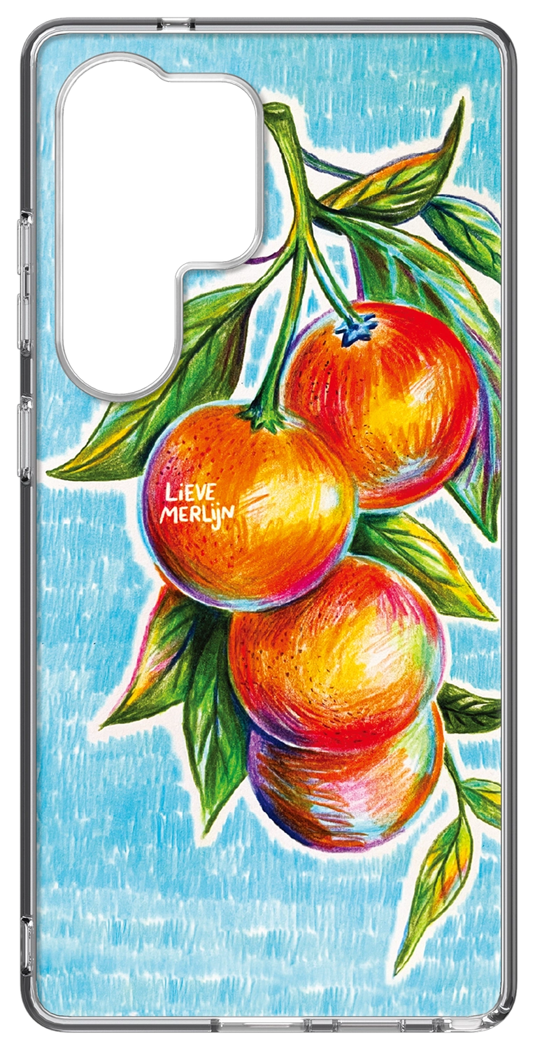 Samsung Galaxy S25 Ultra Lieve Merlijn Mandarin Hybrid Case Blauw afbeelding 1