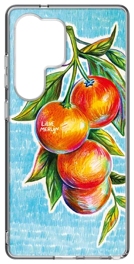 Samsung Galaxy S25 Ultra Lieve Merlijn Mandarin Hybrid Case Blauw afbeelding 1