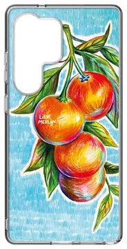 Samsung Galaxy S25 Ultra Lieve Merlijn Mandarin Hybrid Case Blauw