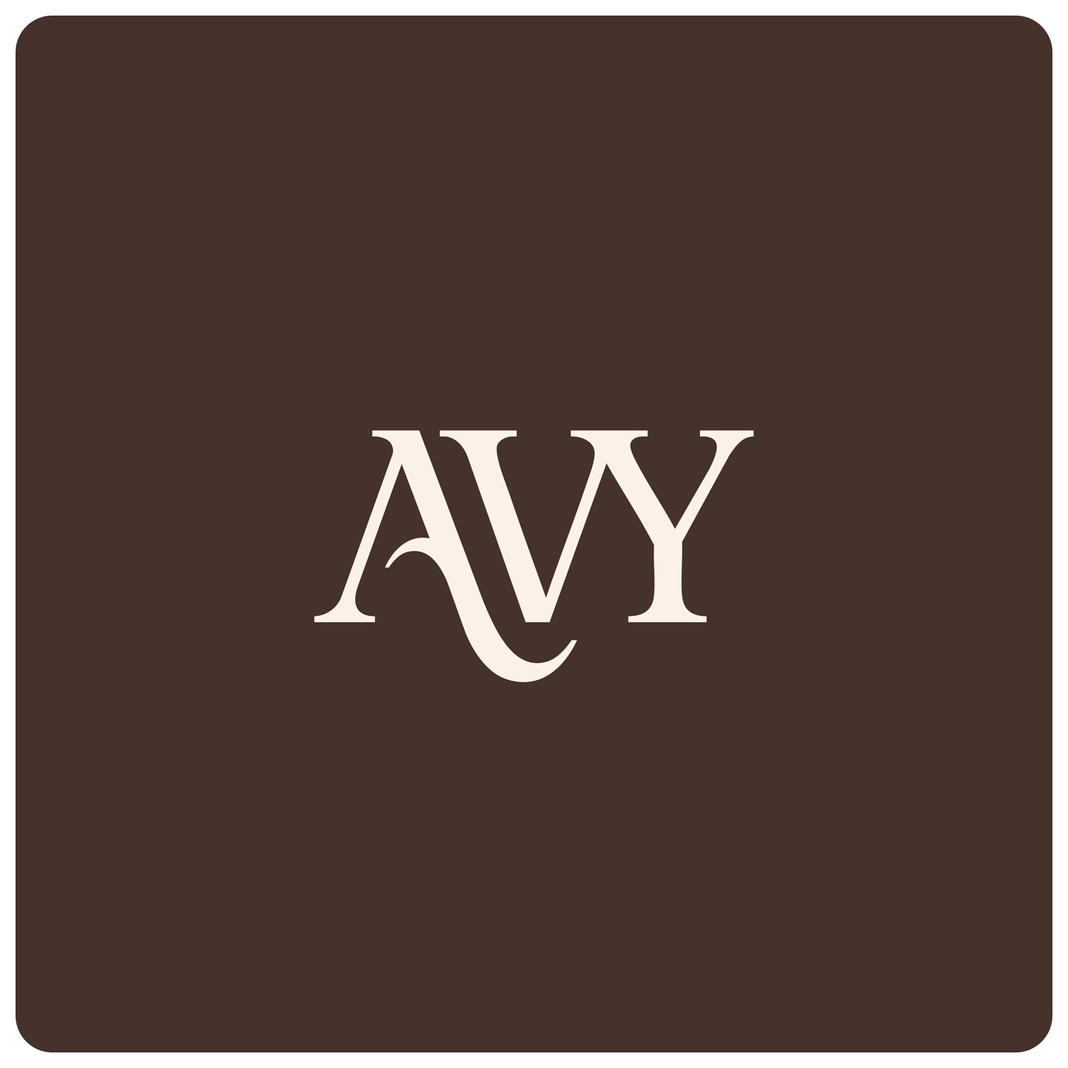 AVY Apple iPhone 17 Pro Max Hoesje met Koord Haakjes MagSafe Leer Zwart afbeelding 12