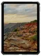 UAG Scout LT iPad 11 (2025) / 10.9 (2022) Hoes Back Cover Transparant Ash afbeelding 5