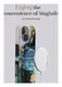 MIO MagSafe iPhone 17 Hoesje Hard Shell Back Cover Green Marble afbeelding 3
