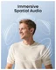 Anker SoundCore Liberty Draadloze Oordopjes Noise Cancelling Zwart afbeelding 5