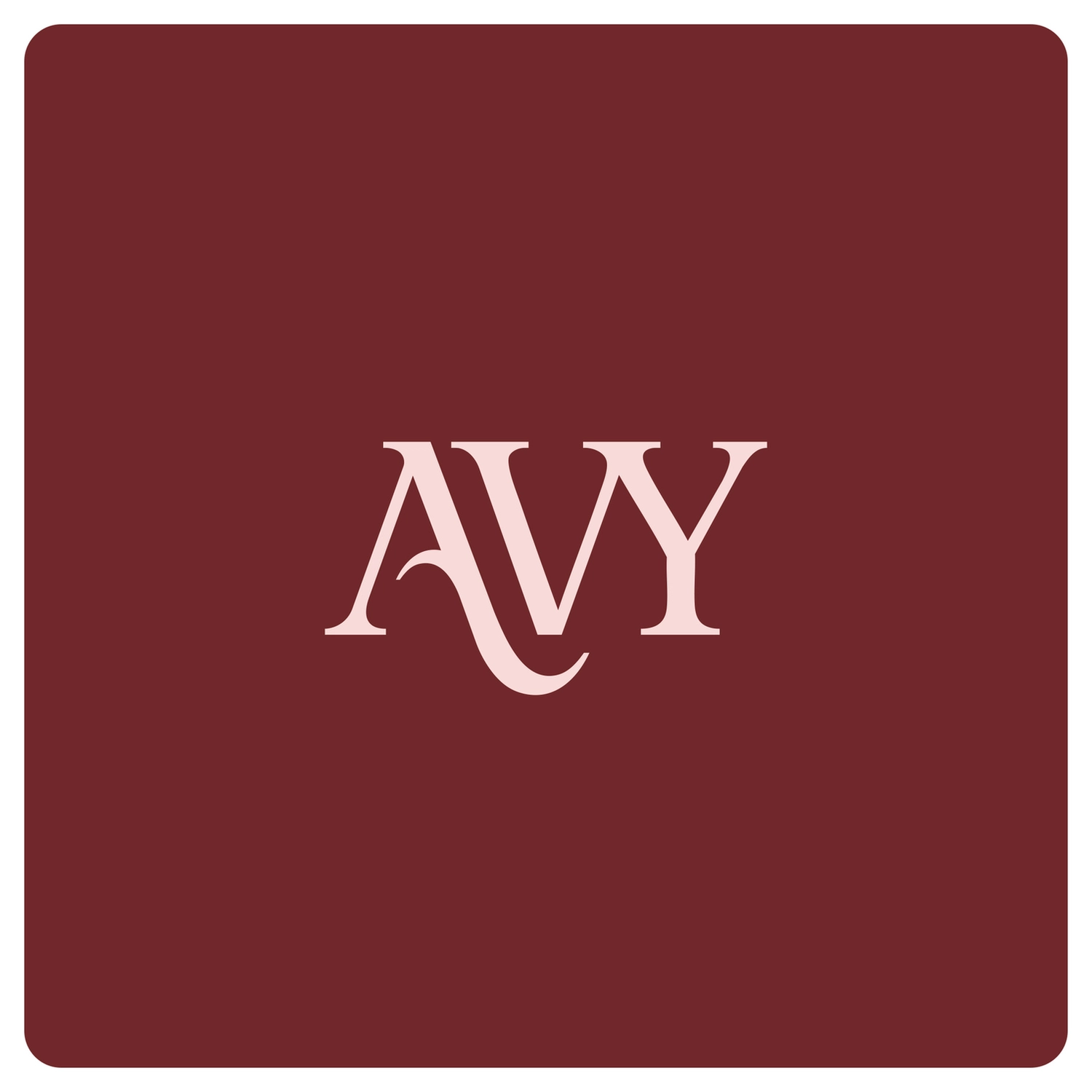 AVY Apple iPhone 15 Pro Max - Styled Kit - Burgundy - Leather Set afbeelding 19