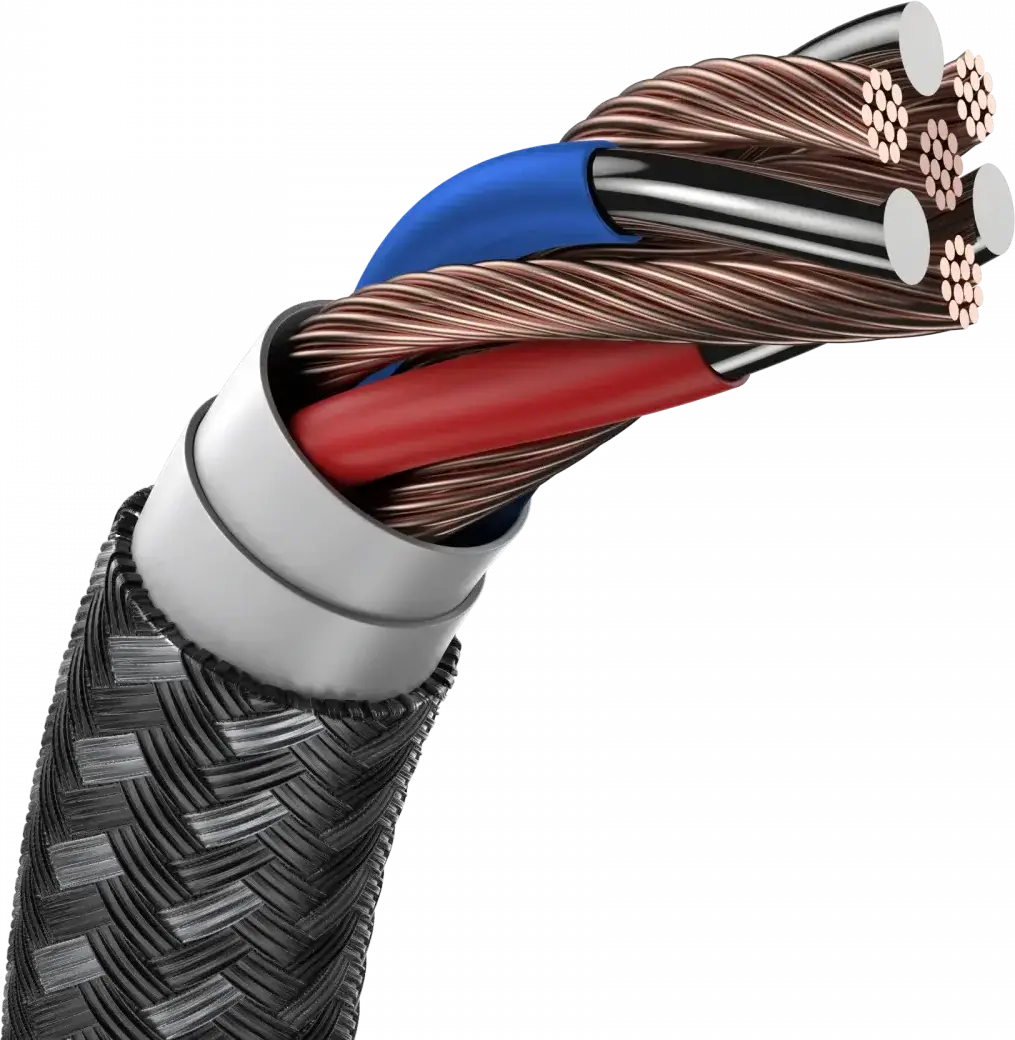 Set van 8 stuks 30cm Buddi Flex USB-C naar Lightning kabel afbeelding 12