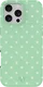 AVY Apple iPhone 16 Pro Max Hoesje MagSafe Back Cover Mint Breeze afbeelding 1