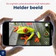 Rosso Samsung Galaxy Z Fold 8 Camera Lens Protector Transparant afbeelding 8