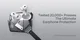 AULUMU Apple AirPods Pro 3 Hoesje met Sluiting en Koord Transparant Grijs afbeelding 4