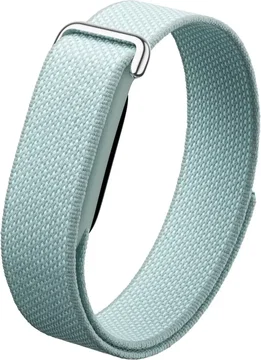 Originele Google Fitbit Air Performance Loop Band Nylon Bandje Mint Groen