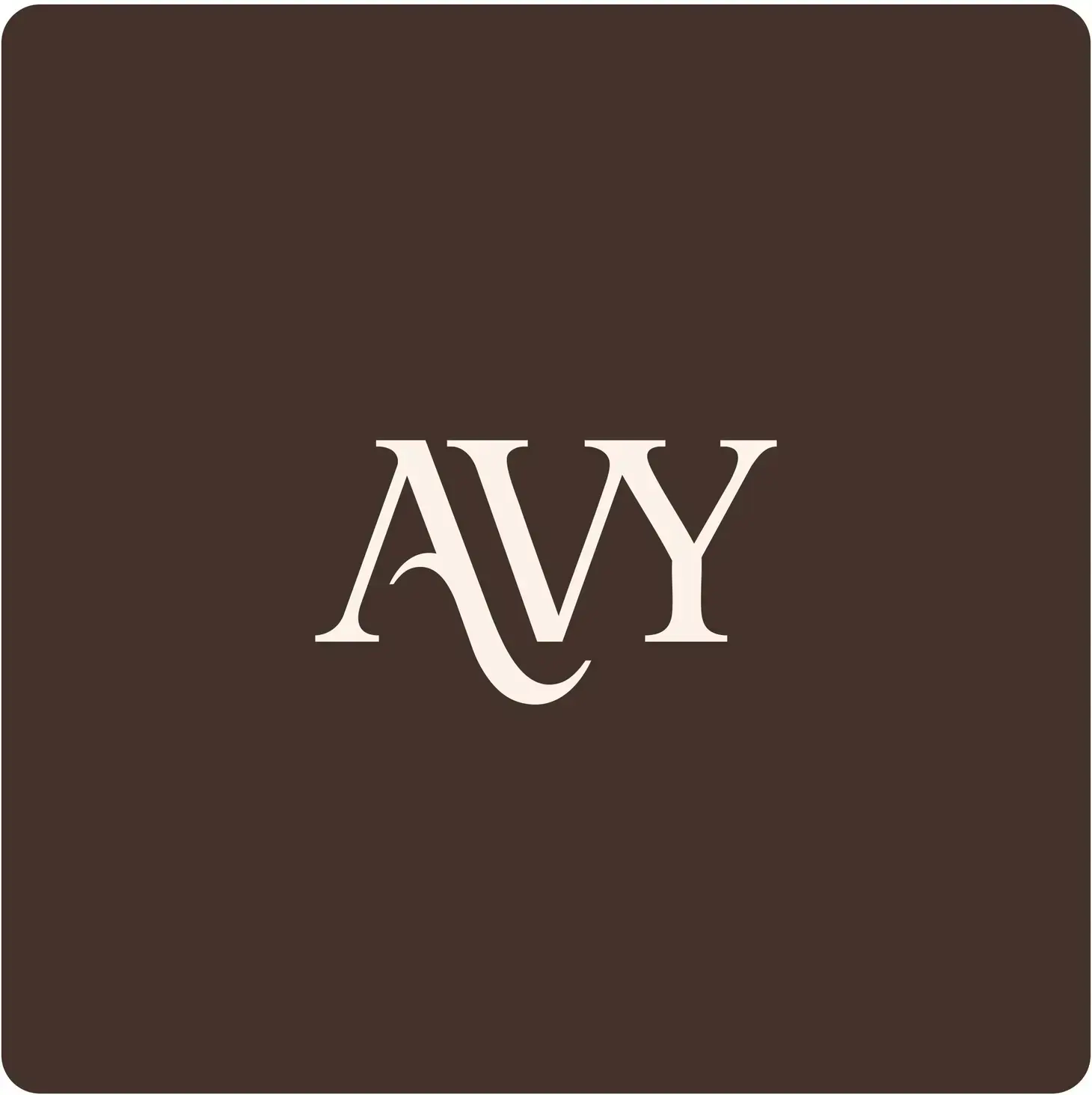 AVY Apple iPhone 18 Pro - Essential Kit - Burgundy - Long Leather afbeelding 23