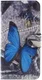 Huawei P10 Lite Portemonnee Hoesje Blue Butterfly afbeelding 1