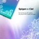 Spigen Ciel by Cyrill Cecile Galaxy Note 10 Hoesje Mandela afbeelding 6