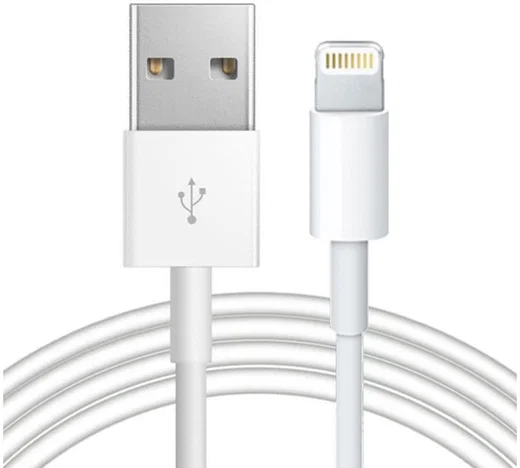 Apple Lightning iPhone / iPad Kabel 2 Meter Wit afbeelding 1