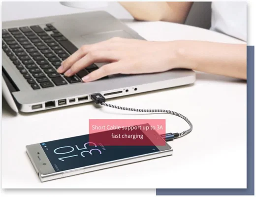 Dux Ducis USB C kabels Set Gevlochten 1 en 0,2 meter Zilver afbeelding 17
