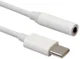 USB-C Audio Adapter Wit afbeelding 1