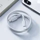 Benks USB Type-C naar Lightning Kabel 1,8 Meter afbeelding 1