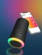 Anker Soundcore Flare Bluetooth Speaker Grijs afbeelding 5