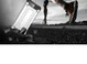 Samsung Galaxy A51 Hoesje Shock Proof Hybride Back Cover Goud afbeelding 9
