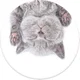 PopSockets PopGrip PopTop Telefoon Greep en Standaard Cat Nap afbeelding 4