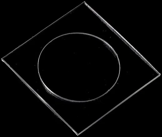 Apple iPhone 8 / 7 Camera Lens Tempered Glass afbeelding 2
