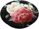 PopSockets X HappyCase PopGrip PopTop Greep en Standaard Rozen afbeelding 2