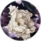 PopSockets X HappyCase PopGrip PopTop Greep en Standaard Flower afbeelding 4