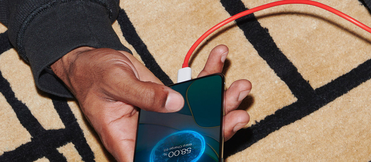 Origineel OnePlus Warp Charge Type-C naar Type-C OplaadKabel (150 CM) afbeelding 4